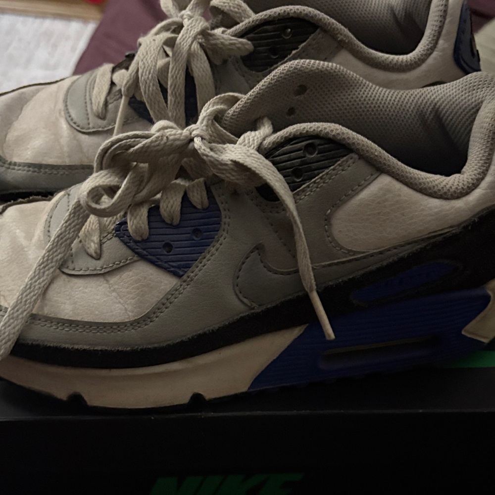 Nike Air Max in Gray and Blue